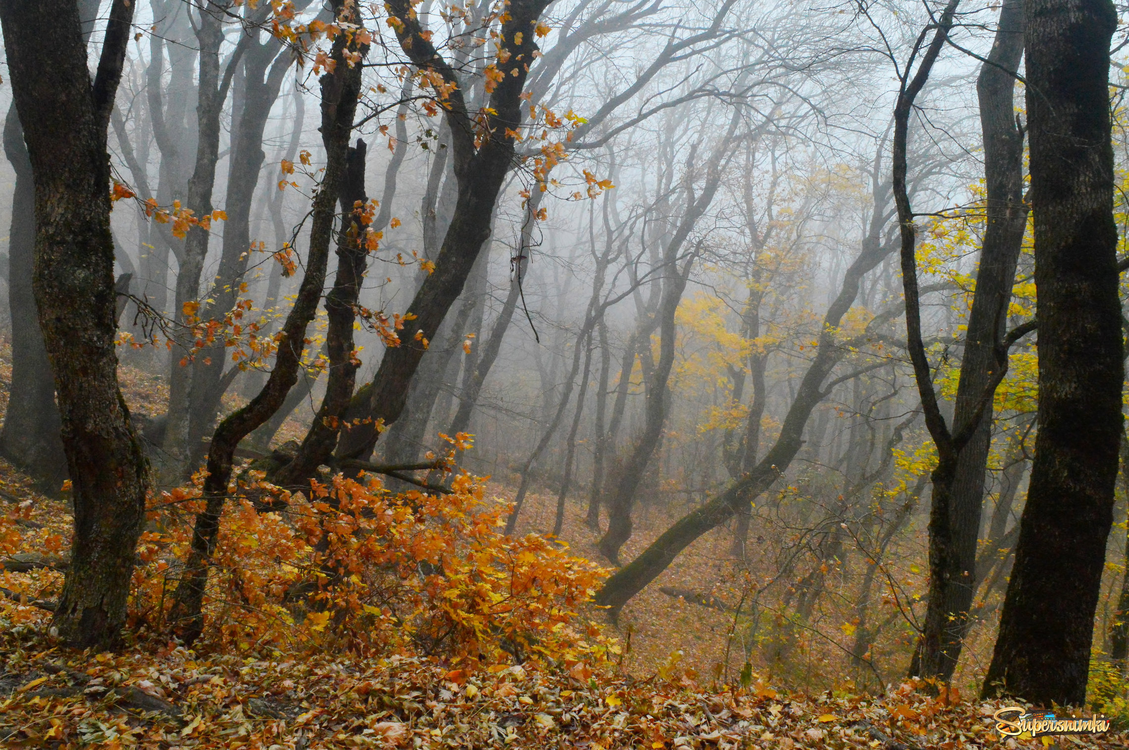 Кавказская осень......