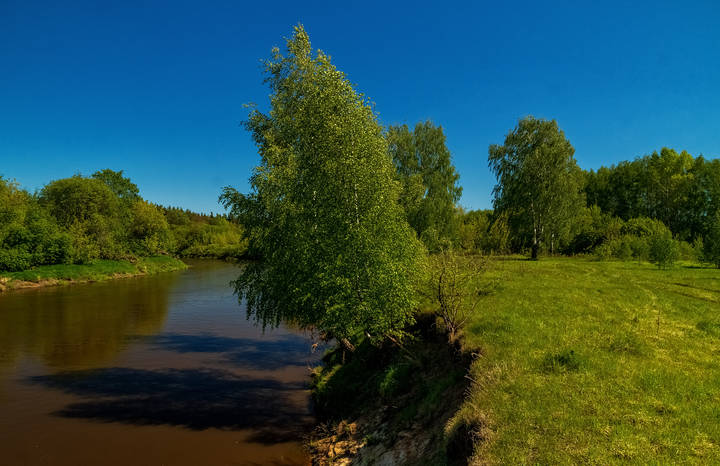 Прогулка у Реки 