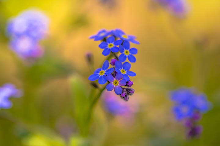 # 8
