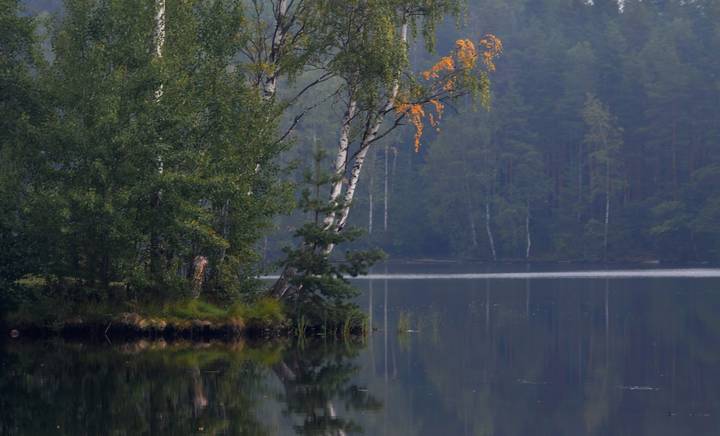 Утром осенним...... 