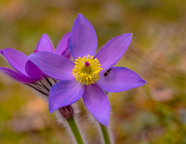 # 9