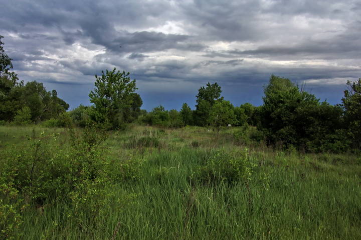  На краю села.