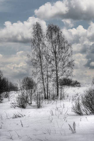 landscape (Правый берег реки Лама)
