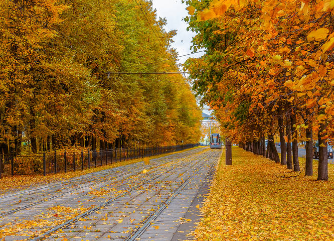 Остановка осень.