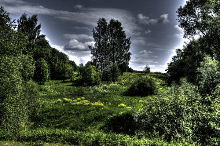 landscape (Правый берег реки Лама)