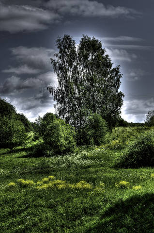 landscape (Правый берег реки Лама)