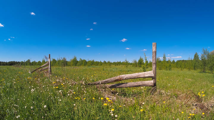 Подмосковные Пейзажи