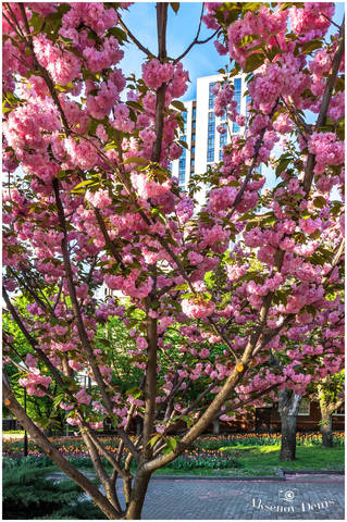 # 5