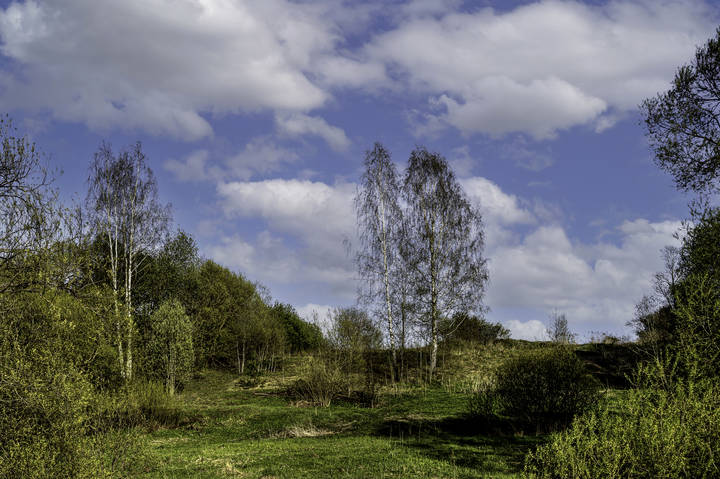 landscape (Правый берег реки Лама)