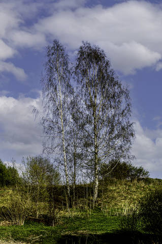landscape (Правый берег реки Лама)