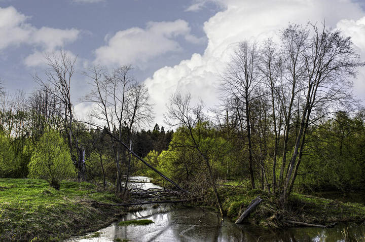 landscape (Заводь реки Лама)