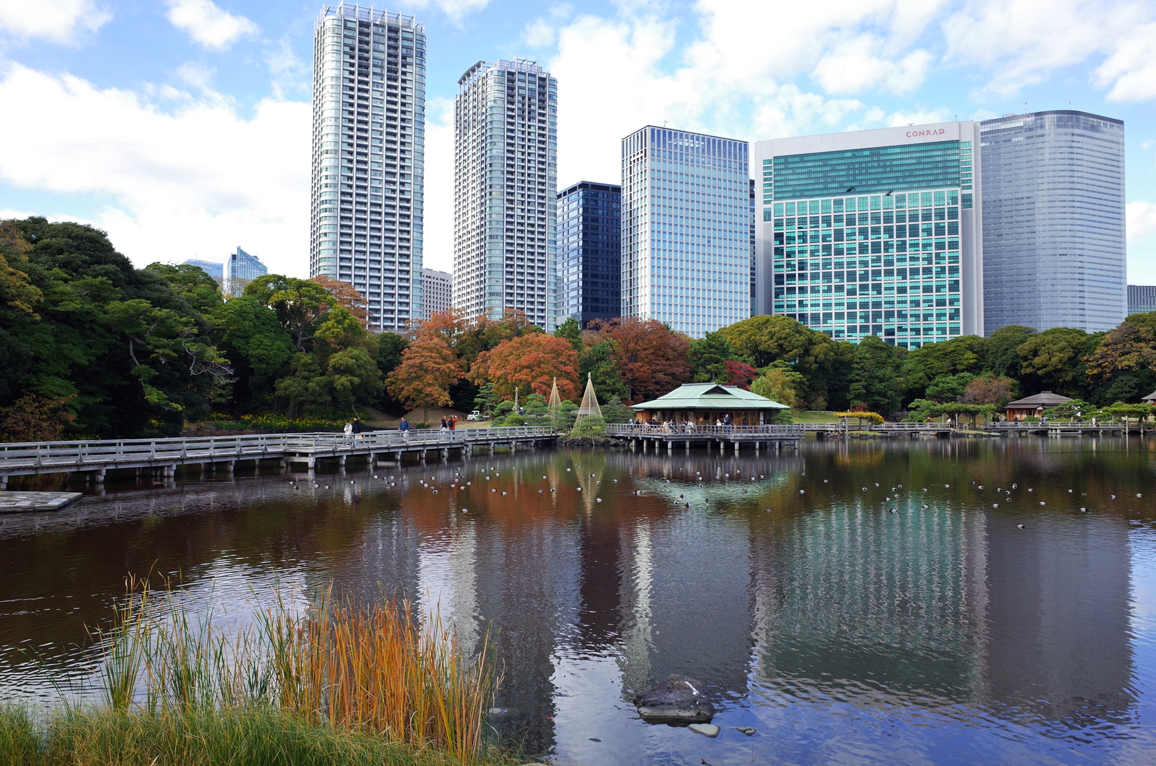 Чайный домик на берегу пруда Hama-rikyū Gardens  Токио 