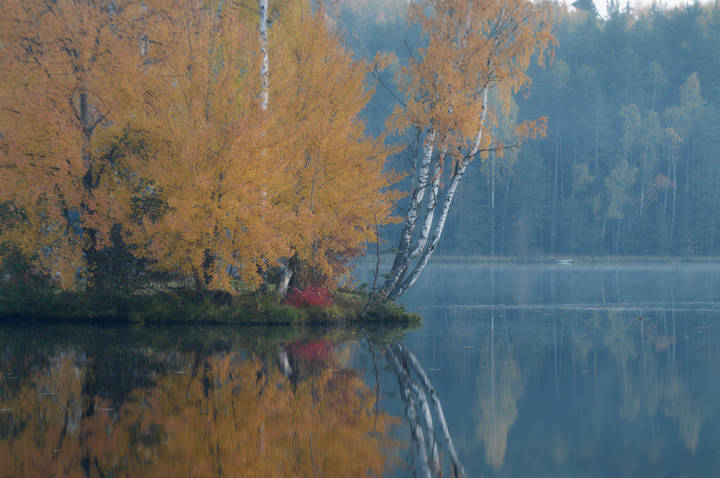 В лёгком тумане......