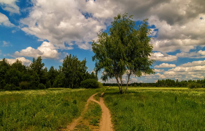 По дороге с облаками ....  2 