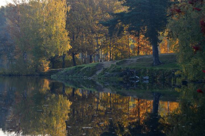 В утреннем свете.....