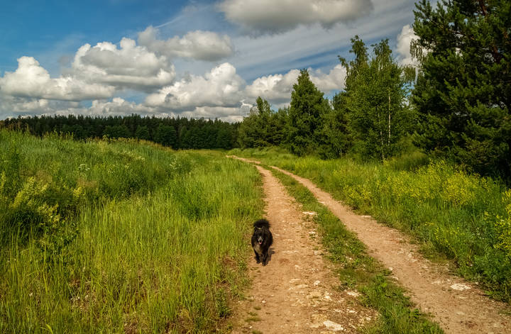 По дороге с облаками .... 3 