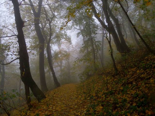Осень в горах.....