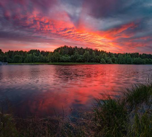 Алый закат