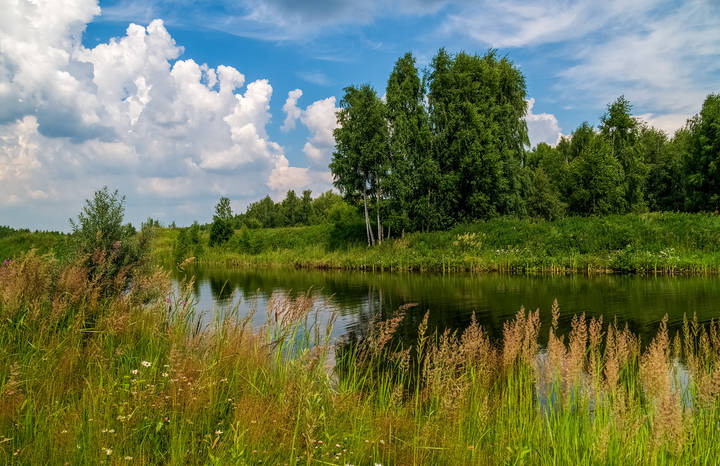 Жаркое июньское утро 