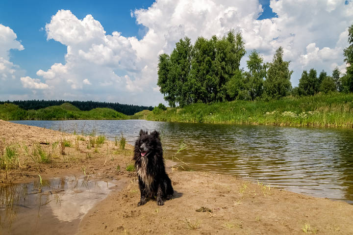 Жаркое июньское утро 2 