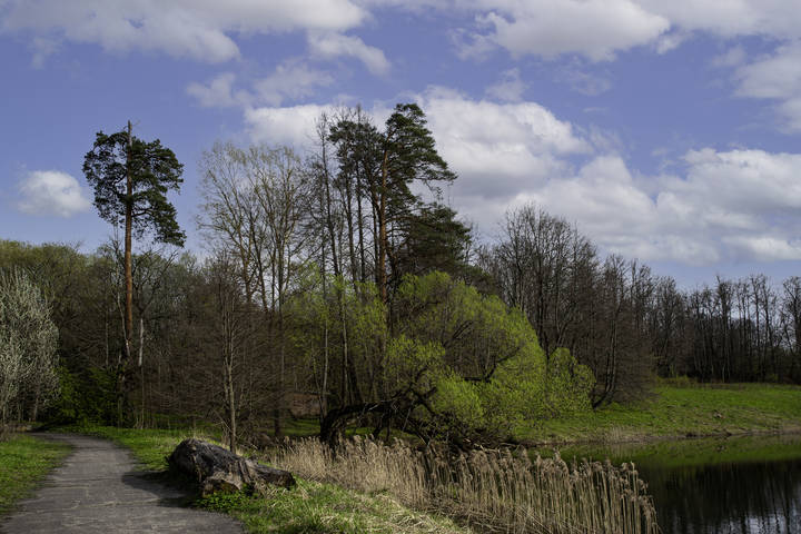 landscape Берег Усадебного пруда