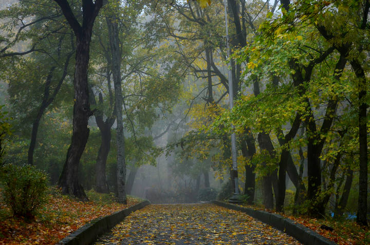 Время листопада......