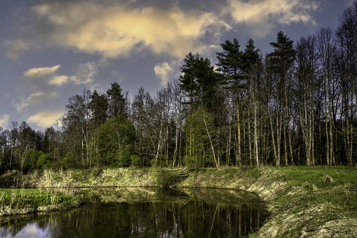 landscape (Заводь реки Лама)