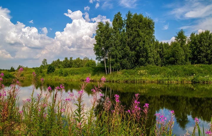 Жаркое июньское утро 4 