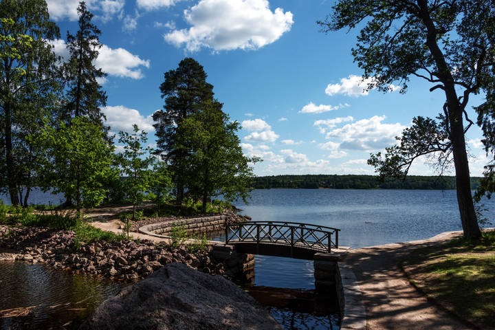 В парке Монрепо.