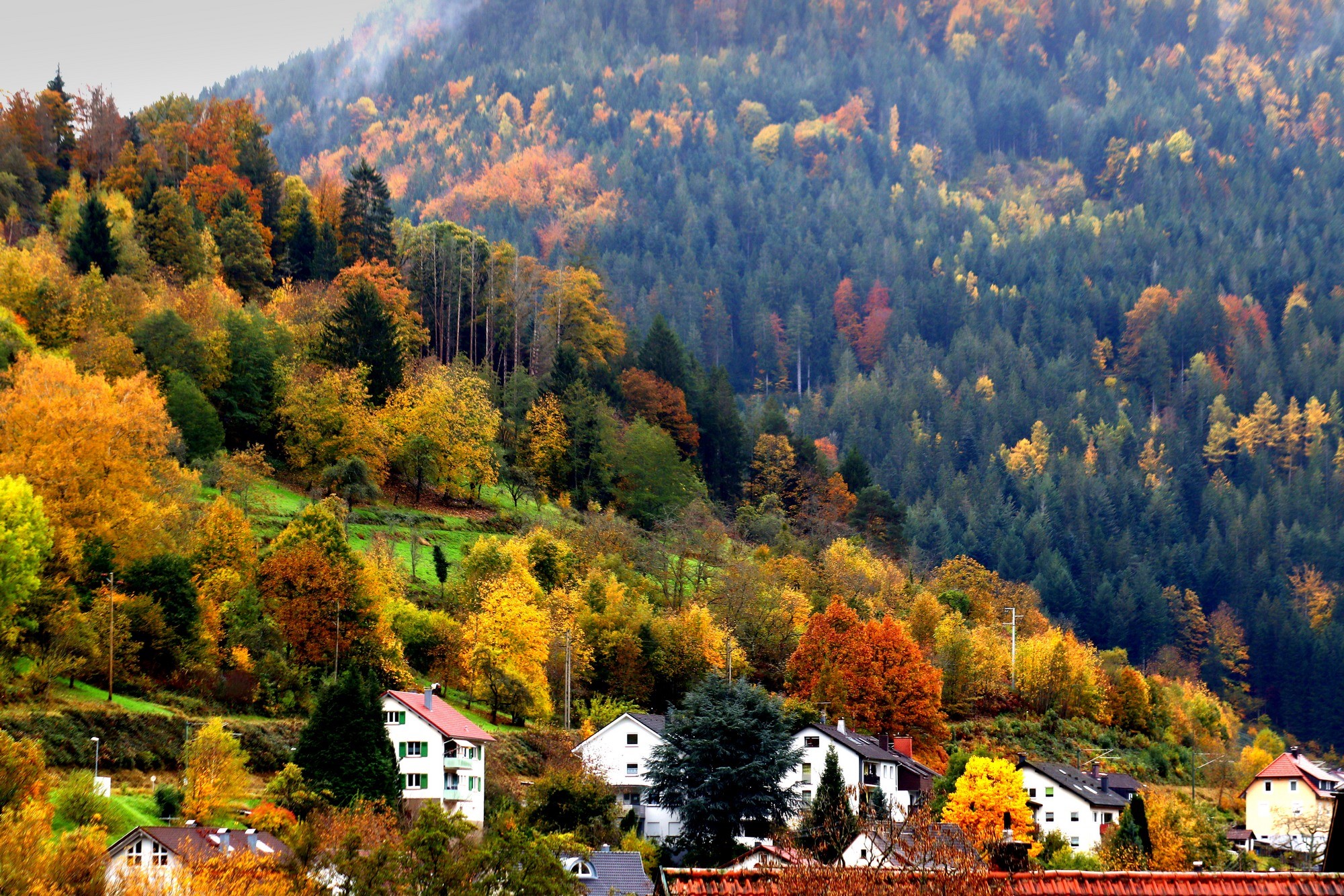 Осень в Шварцвальде