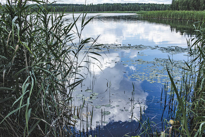 облака купаются в пруду