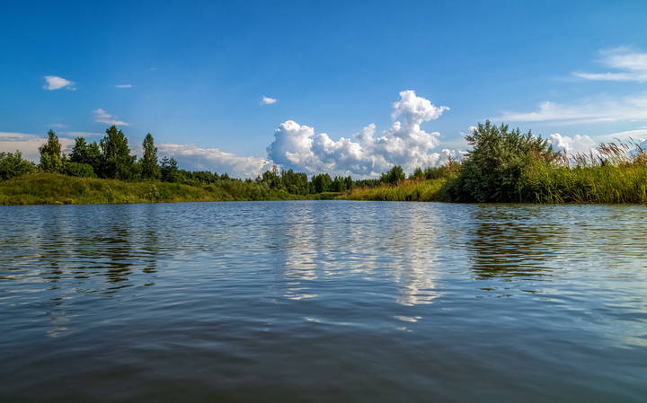 Дело было в июле.... 3 