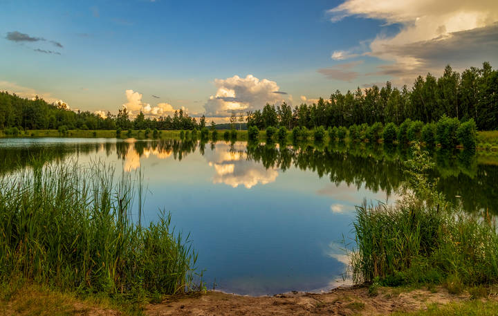 Дело было в июле.... 5 