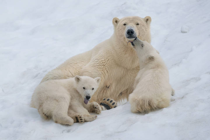 Mom needs a kiss