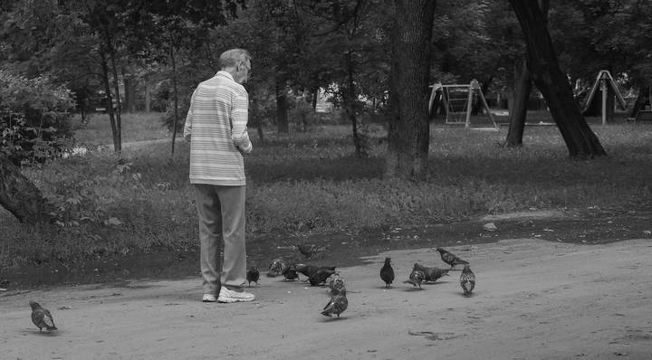 Люди и Птицы
