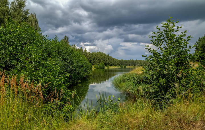 Перед грозой 