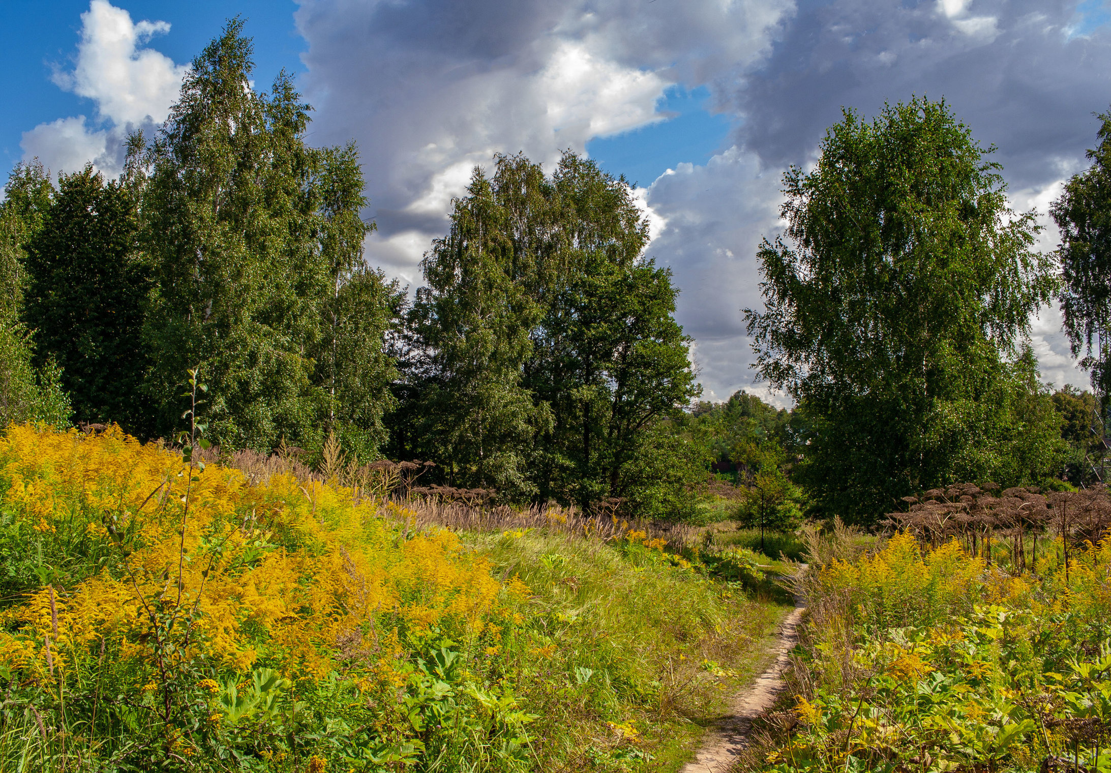 Лесными тропами