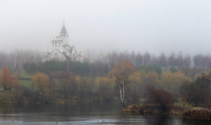 В тумане.