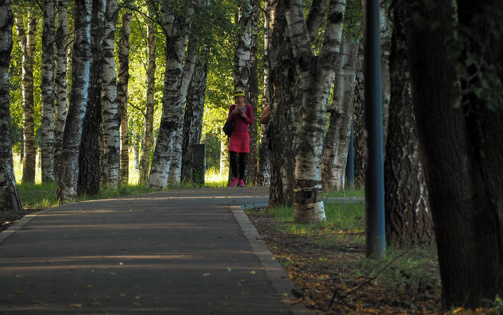 Прогулки в Летнем Парке