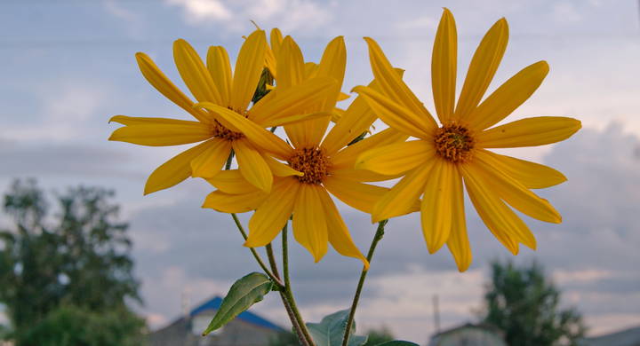 На фоне небесного океана.