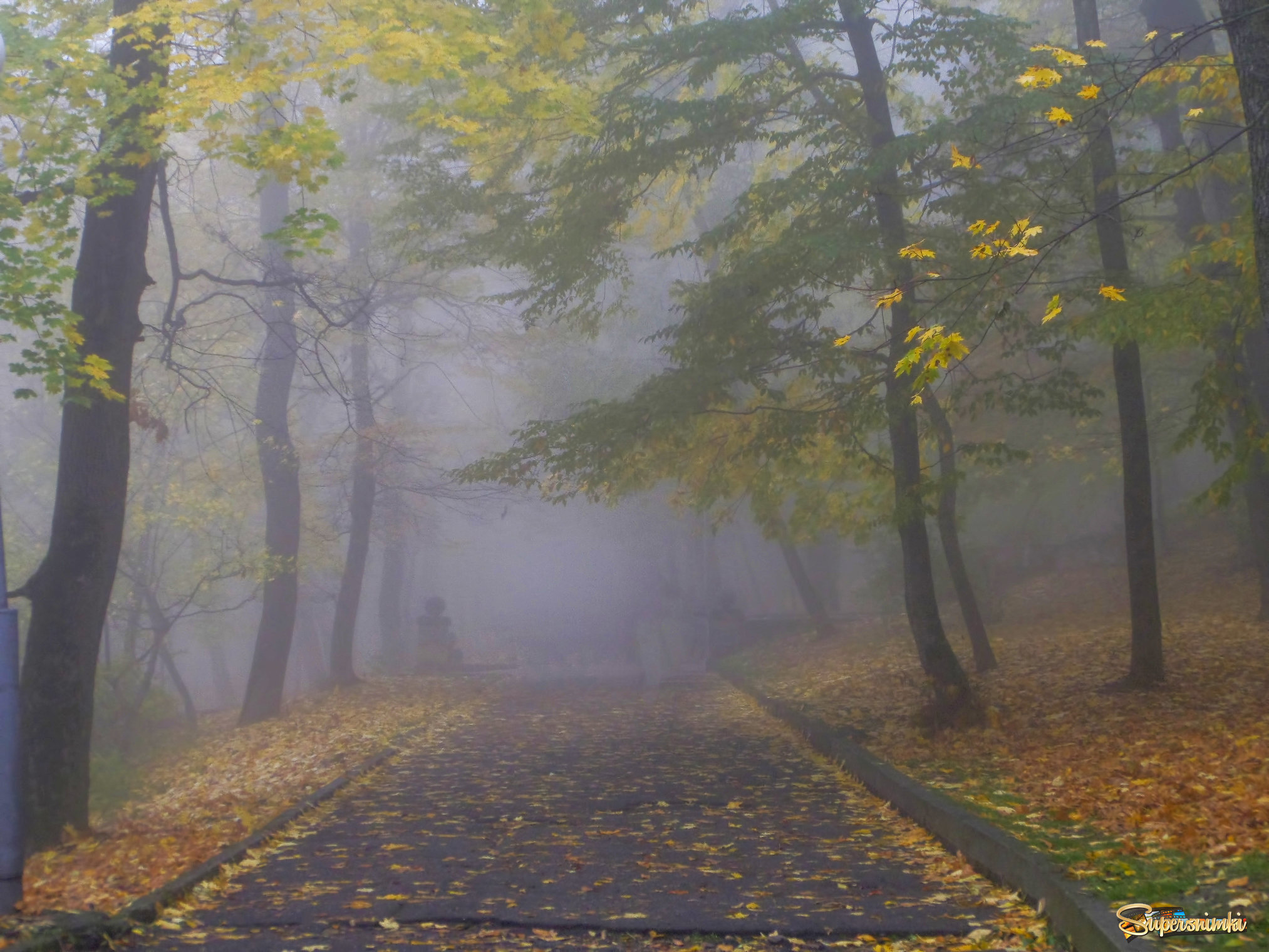 В осеннем парке.....