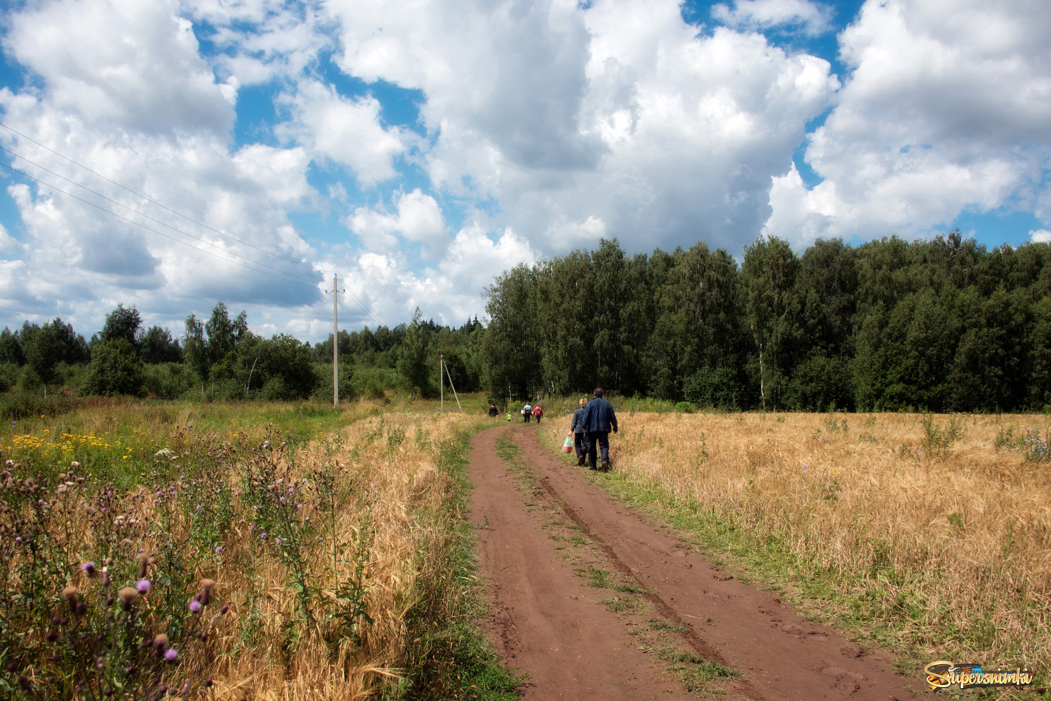 В лес за грибами.