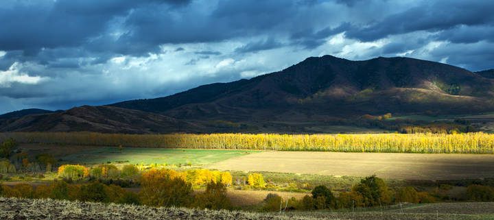 Осенние зарисовки
