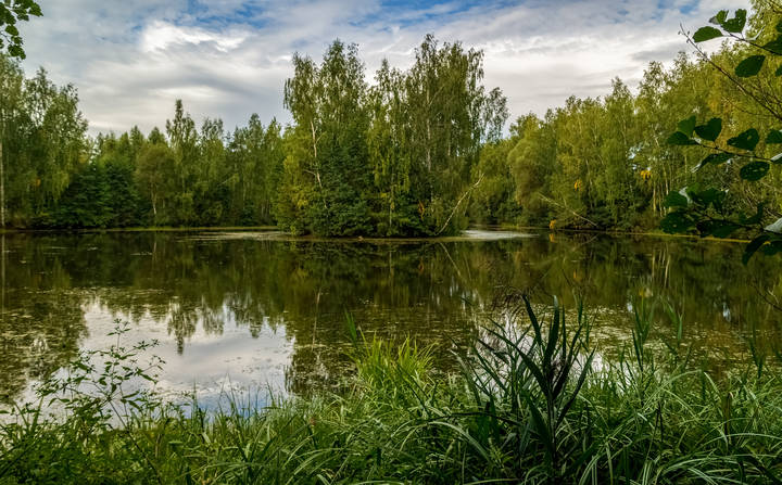 Скоро осень :) 3 