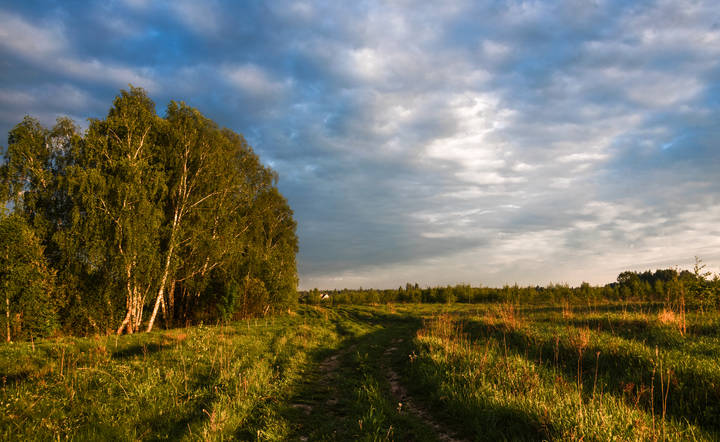 Родные просторы.