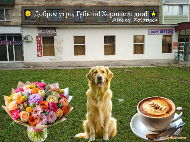 🌞 Доброе утро, Губкин! Хорошего дня! 🌟