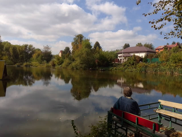 Деревенский пруд.