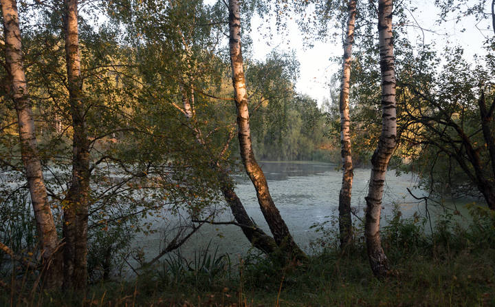 Лесное озеро.