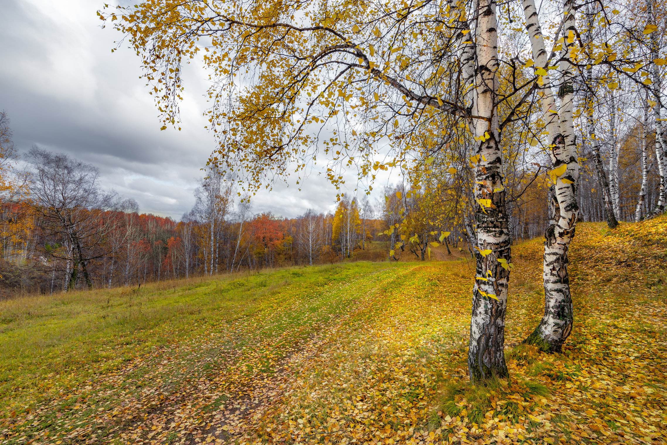 Осенний пейзаж