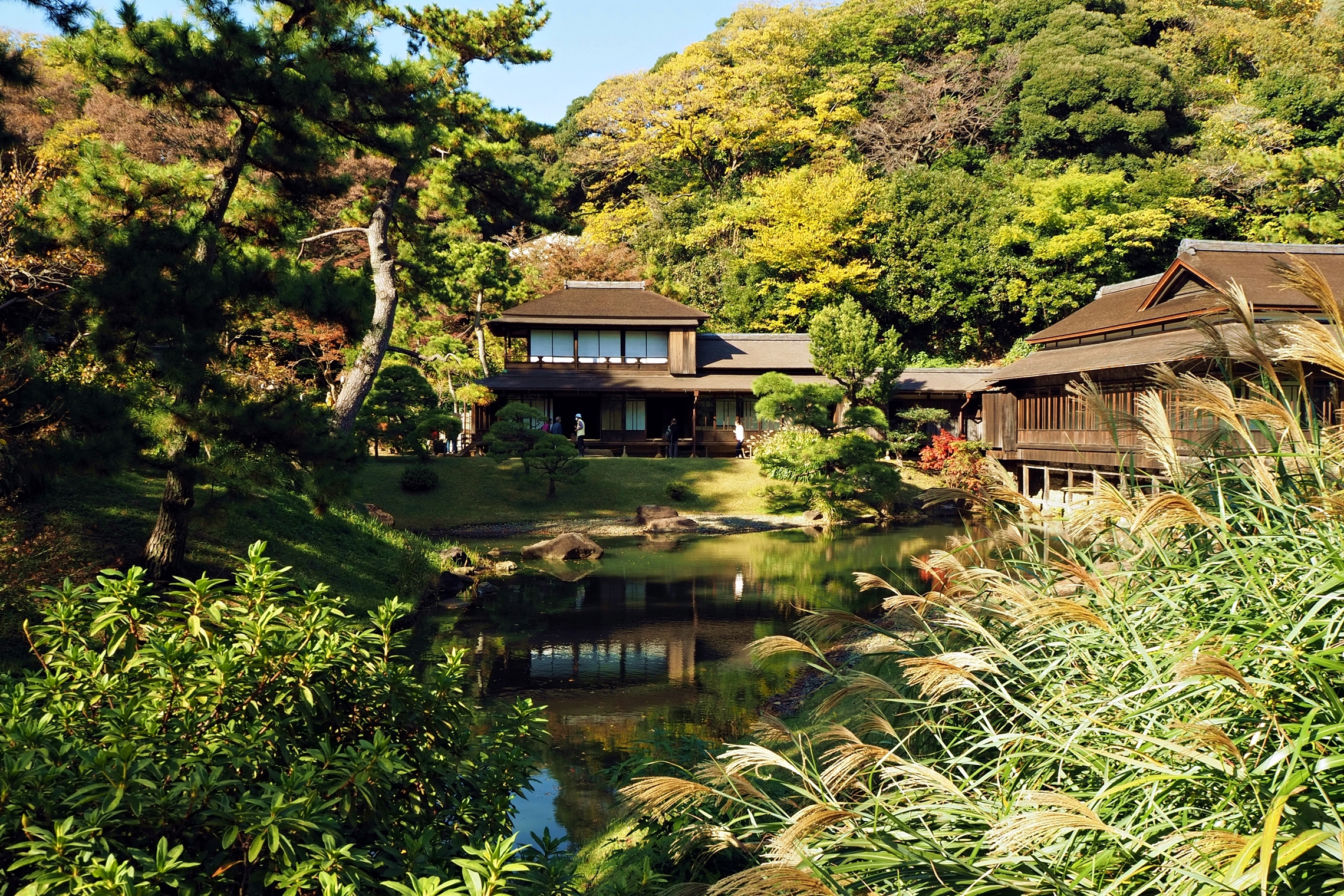  Осень в парке Sankei-en Иокогама 